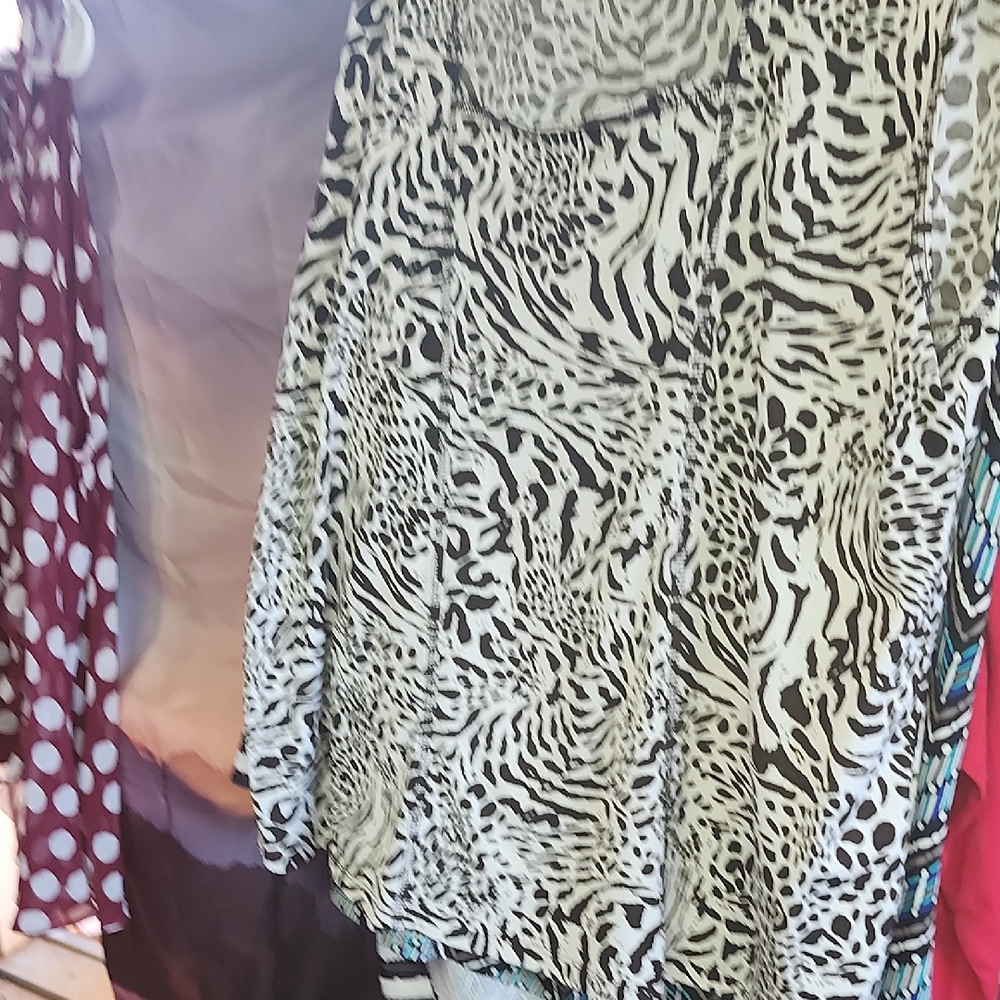 *elegant Zebra Print Women's 3 Blouses For $12.00